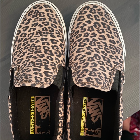 Cheetah Vans - Picture 1 of 3